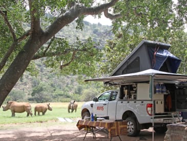 Beim campen mit Nashörnern vor dem Luxury Safari Camper L von Avis Afrika