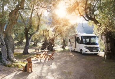 Im Wald mit dem Premium First von rent easy Deutschland