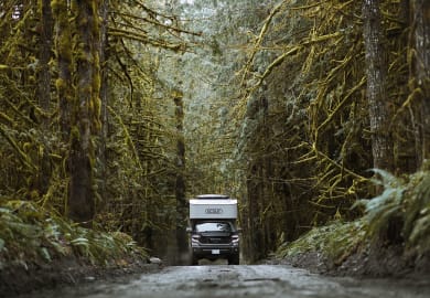 GoNorth Scout Adventure Truck 4×4 Gold