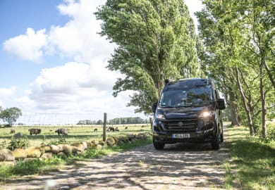 Im Grünen unterwegs mit dem City Extra von rent easy Griechenland