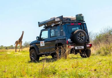 Auf Safari mit dem Suzuki Jimny von Britz 4x4 Rentals Afrika